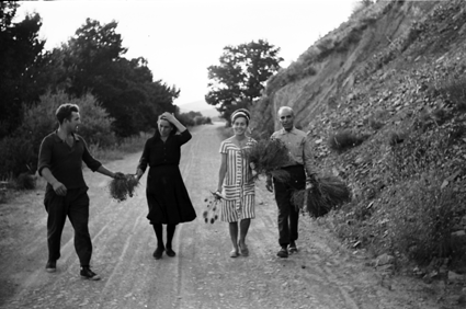 Parejas recogiendo plantas aromÃ¡ticas por el campo. Lechago