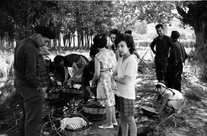 Preparando una comida campestre. Lechago