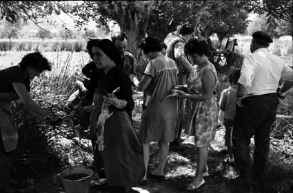 Preparando la comida campestre. Lechago