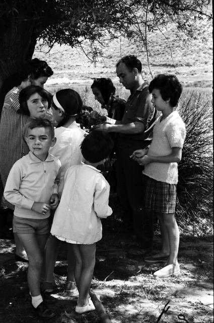 Grupo de niÃ±os en el campo. Lechago