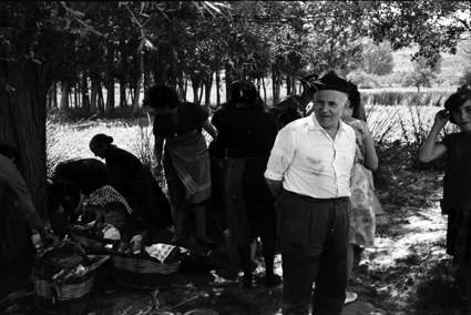 Preparando la comida campestre. Lechago