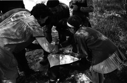 La comida casi estÃ¡ lista. Lechago