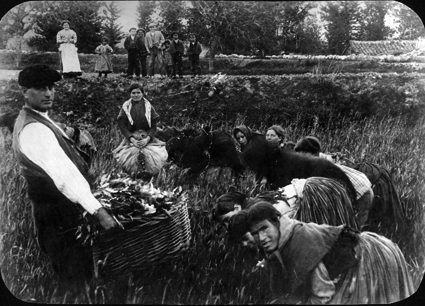 Mujeres y hombres recogiendo la cosecha en cestos de mimbre. Lechago