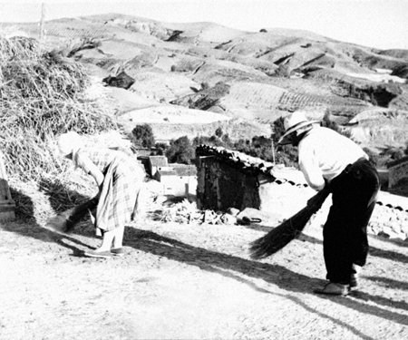 Trabajando en la era. Lechago