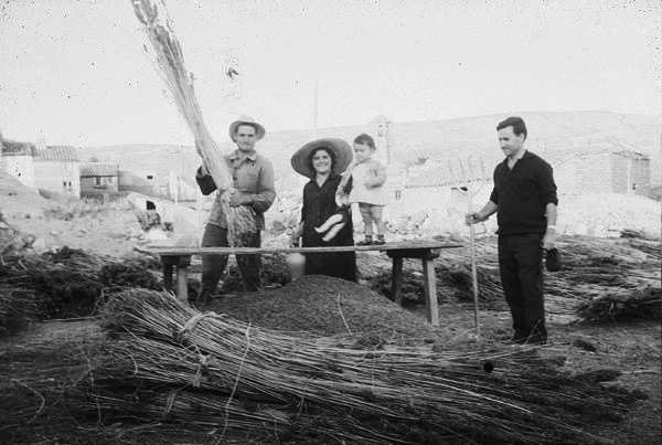 Trabajando el cÃ¡Ã±amo en Lechago
