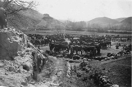 CaballerÃ­a de los soldados italianos. Lechago