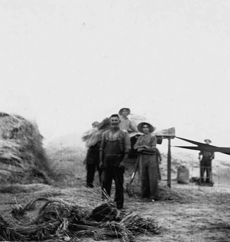 Trabajando en el campo. Luco de Jiloca.