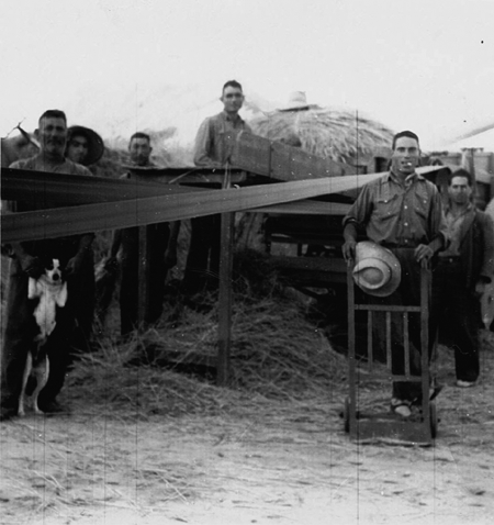 Trabajadores del campo. Luco de Jiloca.