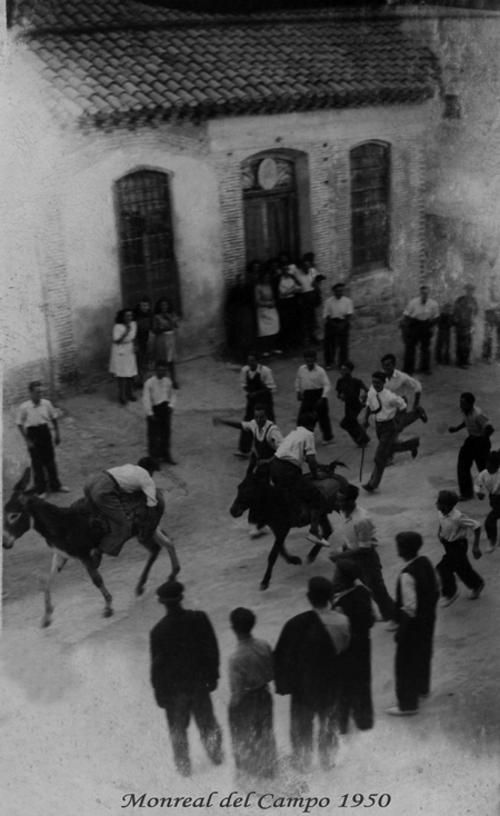 Carrera de burros. Monreal del Campo.