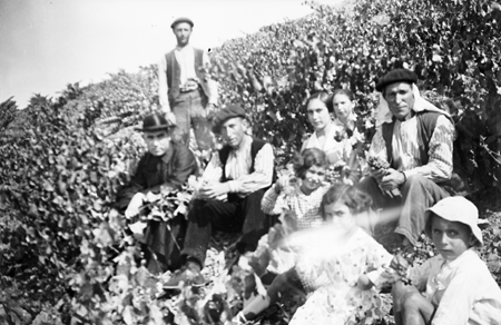 Vecinos en la viÃ±a. Navarrete