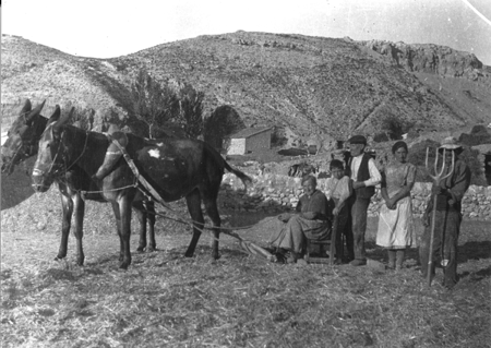 Grupo trillando en el campo. Navarrete