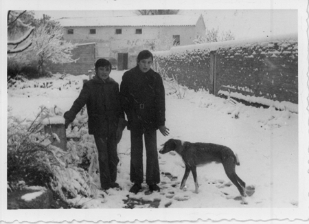 Un dÃ­a de nieve en Monreal.