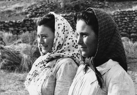 Pareja de labradoras. Olalla