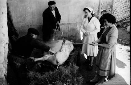 MatacÃ­a en Olalla