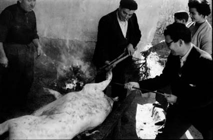 MatacÃ­a en Olalla