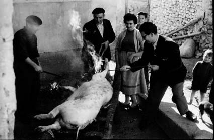 MatacÃ­a en Olalla