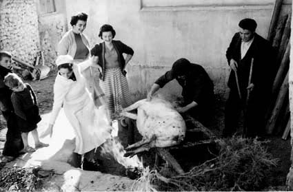 MatacÃ­a en Olalla