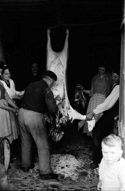 MatacÃ­a en Olalla