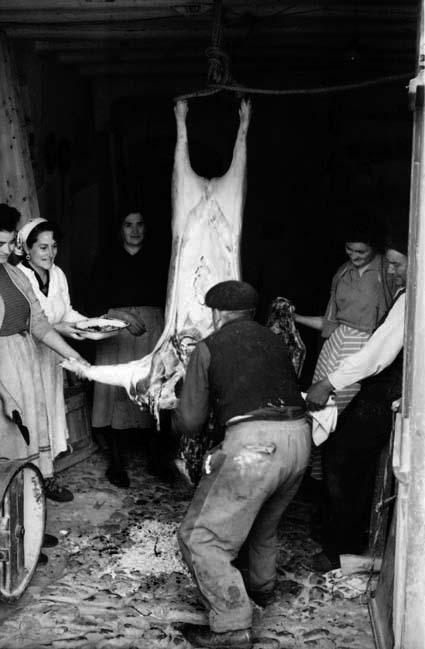 MatacÃ­a en Olalla