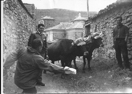 Torero valiente. Piedrahita