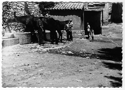 CaballerÃ­as en el abrevadero. Piedrahita