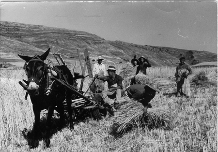 Un dÃ­a de siega en julio de 1966. Piedrahita.
