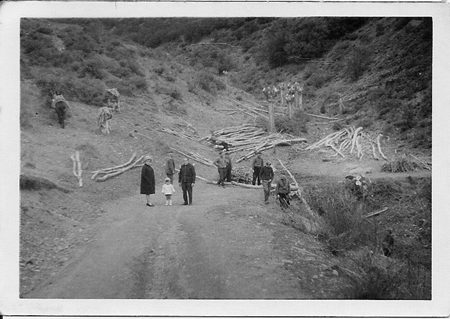 Grupo recogiendo leÃ±a. Piedrahita