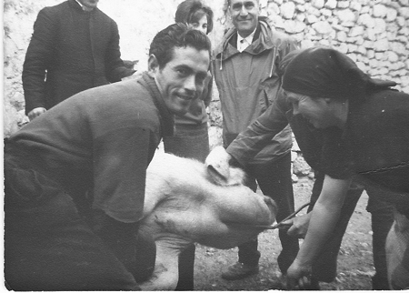 Matanza del cerdo. Piedrahita