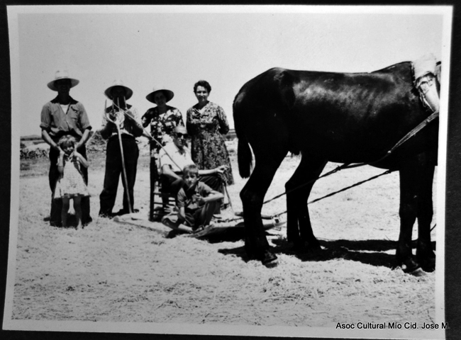 Grupo trabajando en el campo