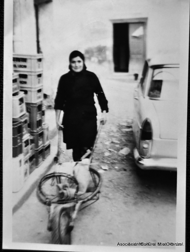 Mujer con carretilla