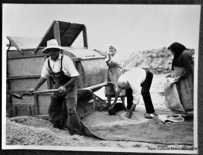 Trabajadores en el campo recogiendo el grano