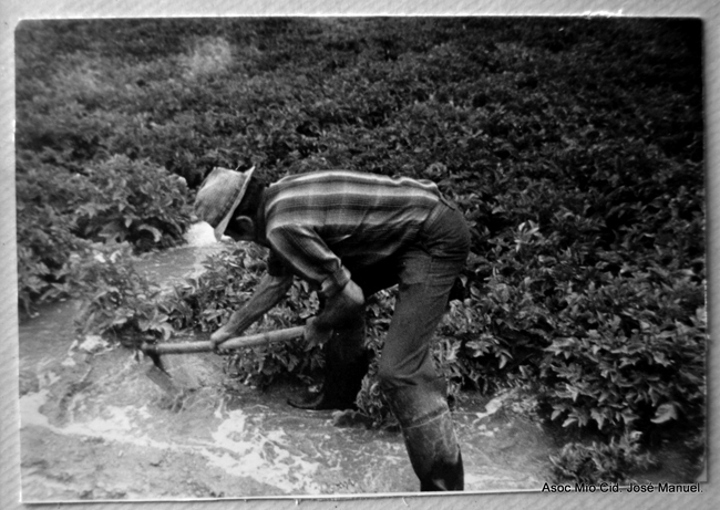 Hombre trabajando en acequia con azada