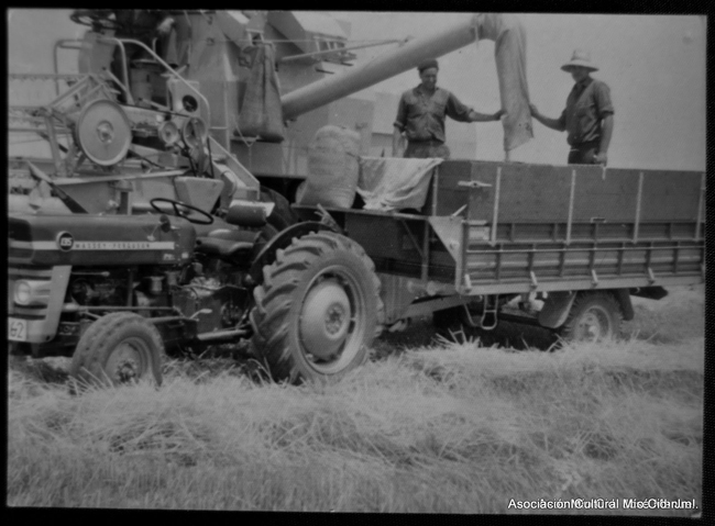 Hombres y maquinaria agrÃ­cola trabajando en el campo