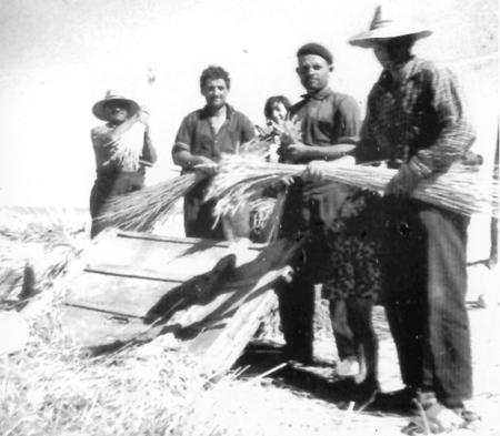 Regogiendo las espigas. Pozuel