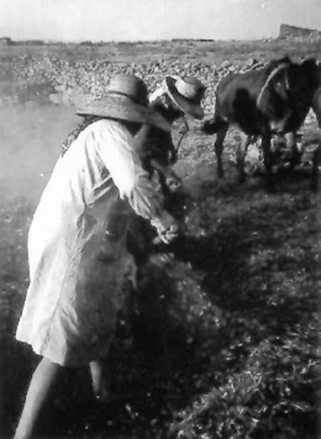 Trabajando en el campo. Pozuel