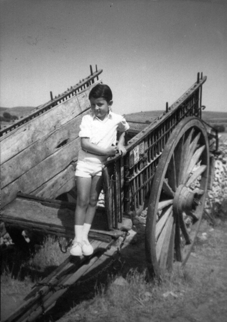 NiÃ±o subido al carro. Pozuel