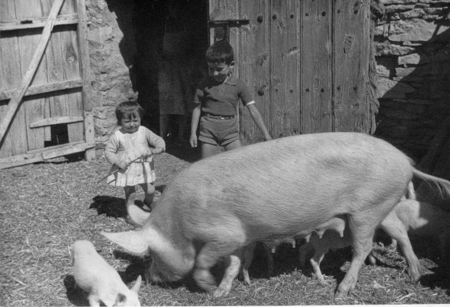 NiÃ±os con la cerda. Pozuel