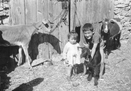 NiÃ±os con cabras. Pozuel