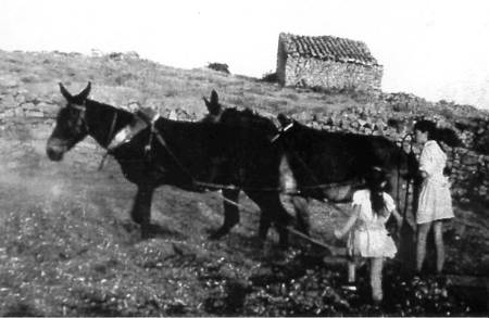 NiÃ±as con caballerÃ­as. Pozuel