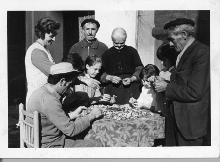 Grupo esbrinando azafrÃ¡n. Monreal.