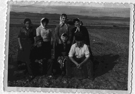 DespuÃ©s de un dÃ­a de recoger la flor del azafrÃ¡n. Monreal.