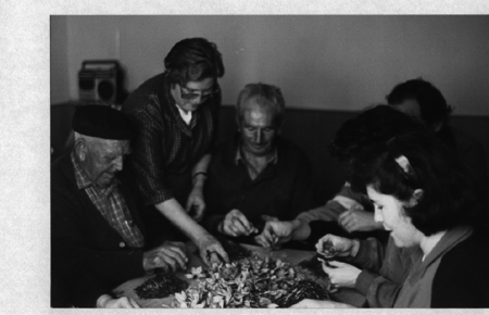 Esbrinando azafrÃ¡n. Monreal.