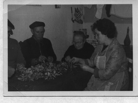 Esbrinando la flor del azafrÃ¡n. Monreal.