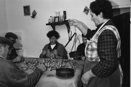 Grupo esbrinando el azafrÃ¡n. Monreal.