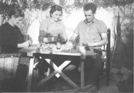 Esbrinando el azafrÃ¡n. Loscos.