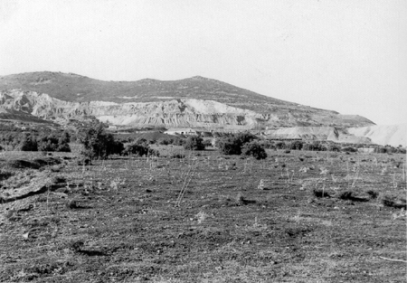 Campos de Ojos Negros.