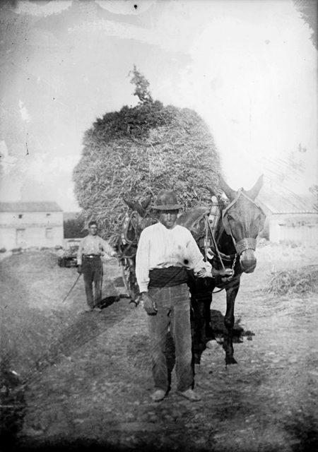 Acarreando en Tornos.