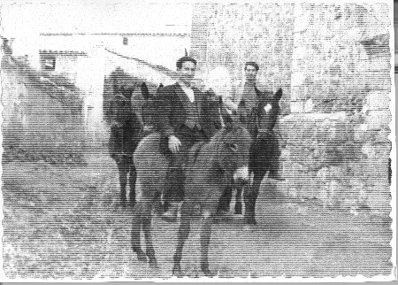 CaballerÃ­as de labranza. Tornos