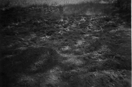 Los Ojos de Monreal.