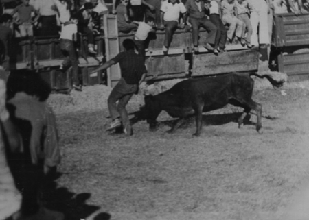 Vaquillas en Torralba de los Sisones.